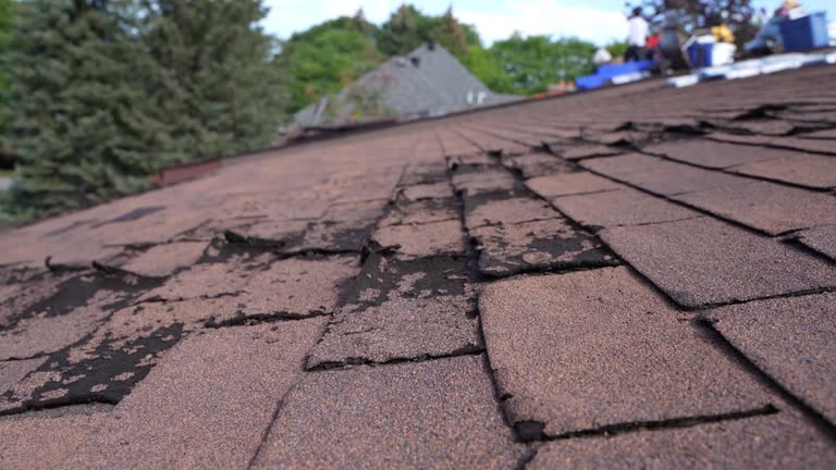 Fast & Reliable Emergency Roof Repairs in Dupont, PA